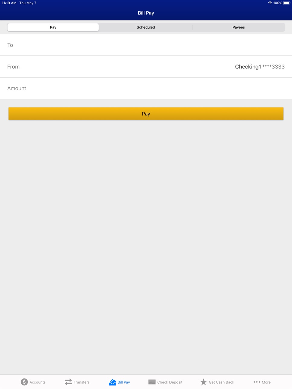 iPad screenshot