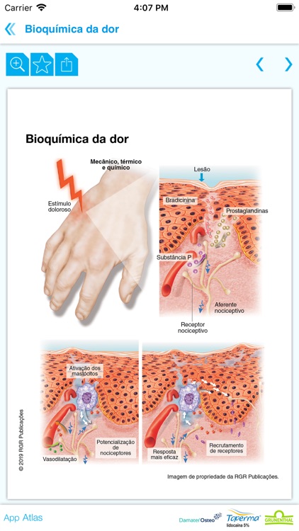 Dor e inflamação screenshot-3