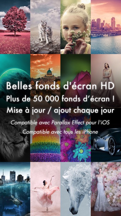 Screenshot #1 pour Belles fonds d'écran 4K/HDR