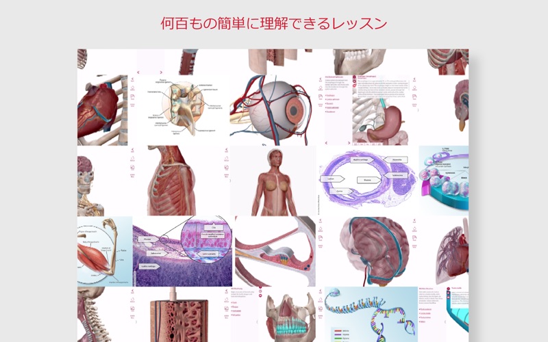 解剖学的構造と生理学スクリーンショット