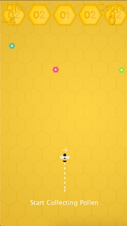 Honey Bee - Spider Puzzle