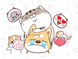 Best Cats Animated Stickers