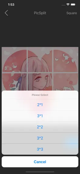 Game screenshot PicSplit-Grid Post for picture apk