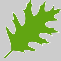 Relyance Bank for Tablet