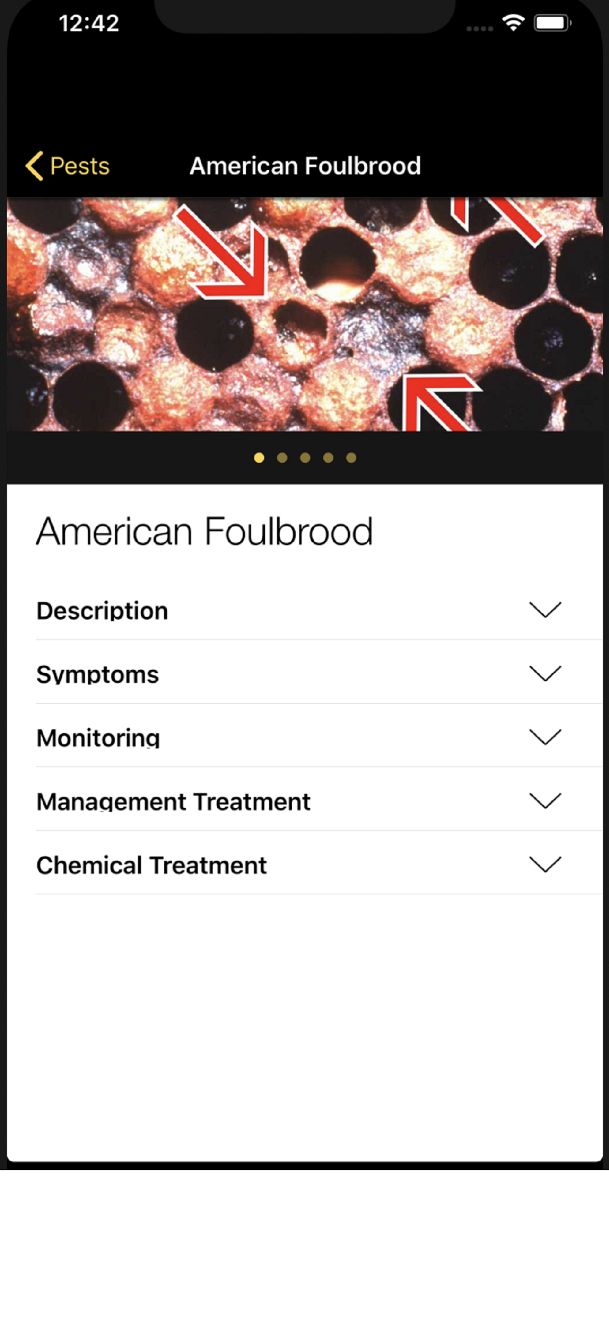 Bee Health screenshot 2