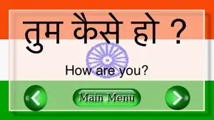 Teach Me Hindi Fast screenshot 2