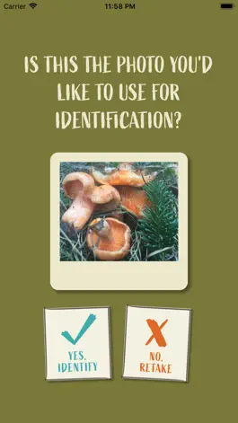 Game screenshot Snout: Mushroom Identification hack