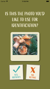 Snout: Mushroom Identification screenshot