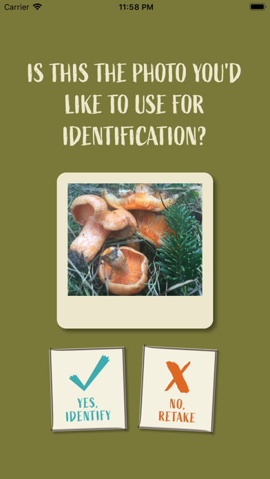 How to cancel & delete Snout: Mushroom Identification from iphone & ipad 3