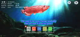 Game screenshot Arowana raising from fry apk