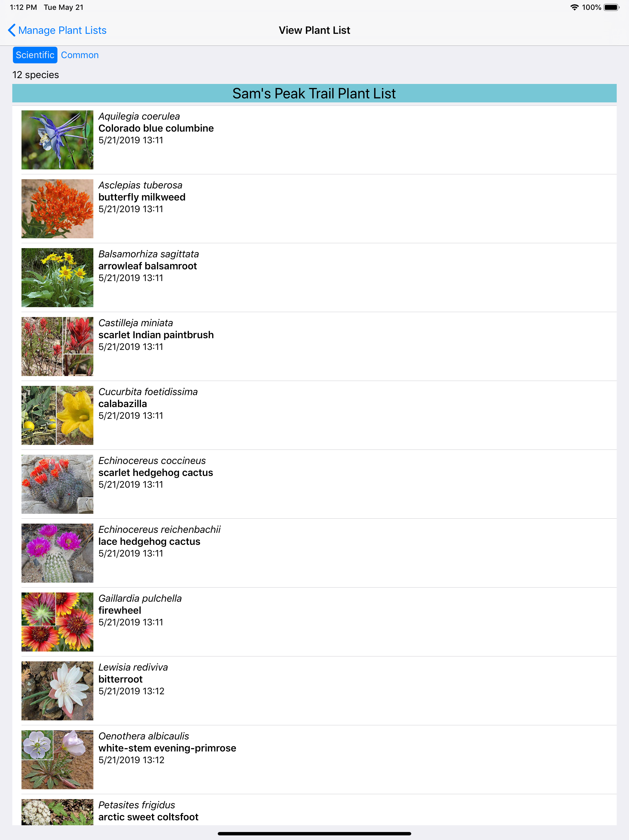 Colorado Wildflower Search