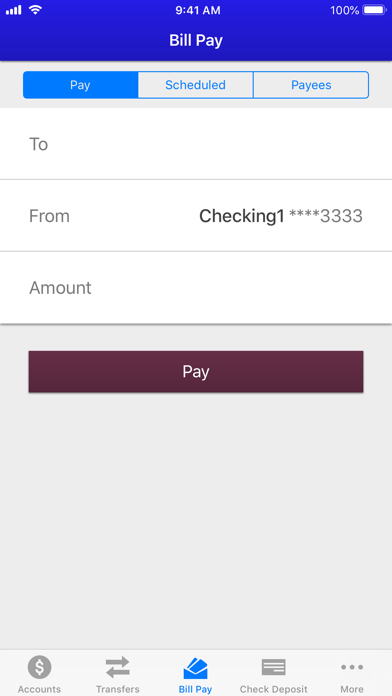 Salyersville National Bank Screenshot