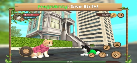 Cat Sim Online: Play With Cats - Observe the detailed life cycle simulation, showcasing a visibly pregnant cat character within a dynamic urban backdrop.