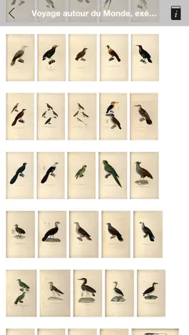 Game screenshot MAU M&L Natural History apk