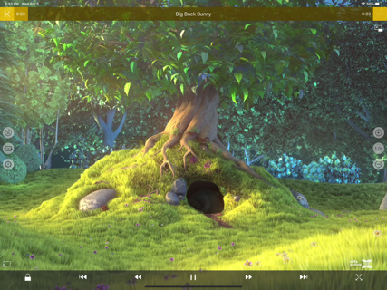 nPlayer Plus screenshot 9
