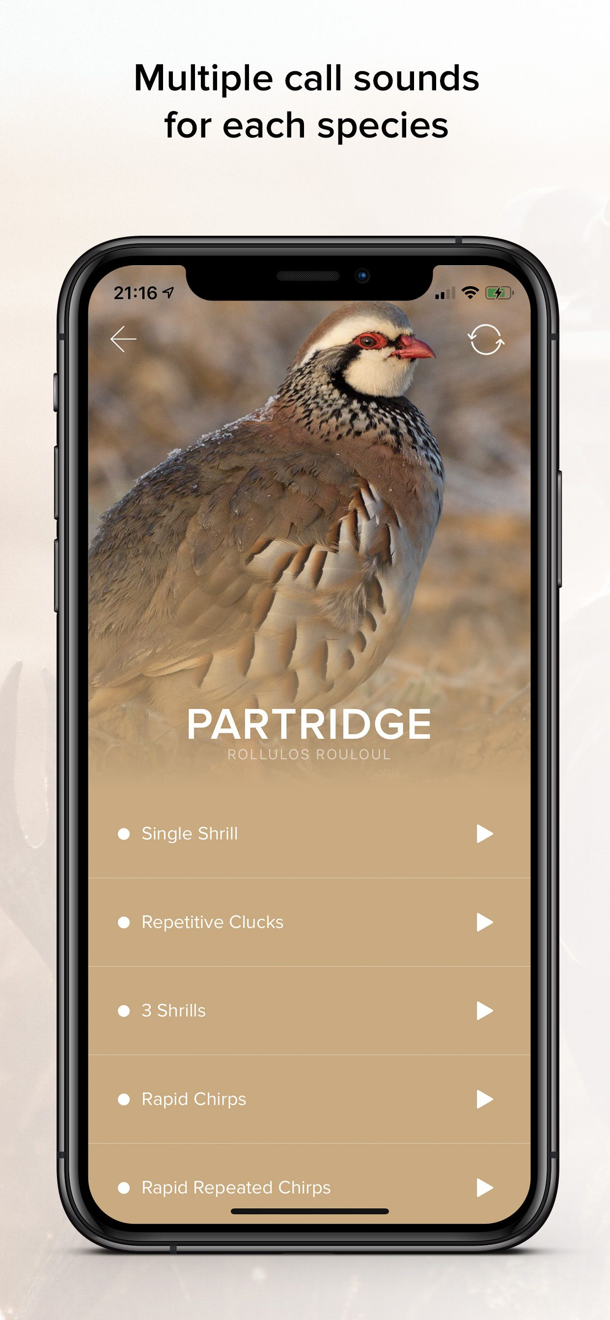Game Calls UK & Europe