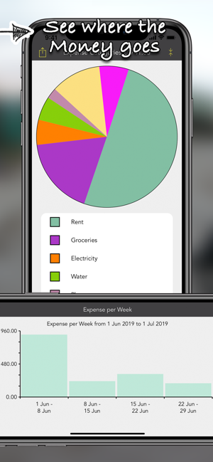 ‎Spending Log Pro Screenshot