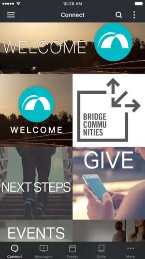 The Bridge RSM screenshot 1