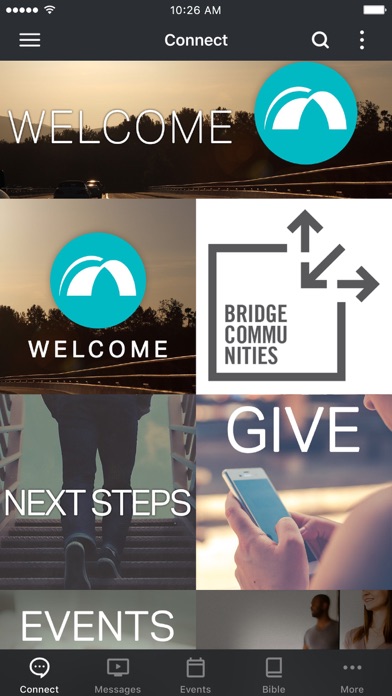 The Bridge RSM Screenshot
