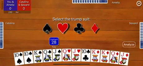 Pinochle Classic