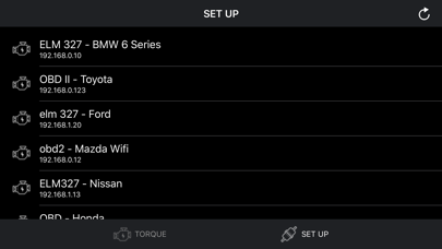 Torque OBD 2 & Car Pro screenshot 3