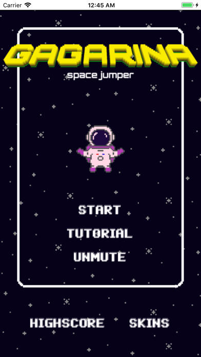 Gagarina screenshot 1