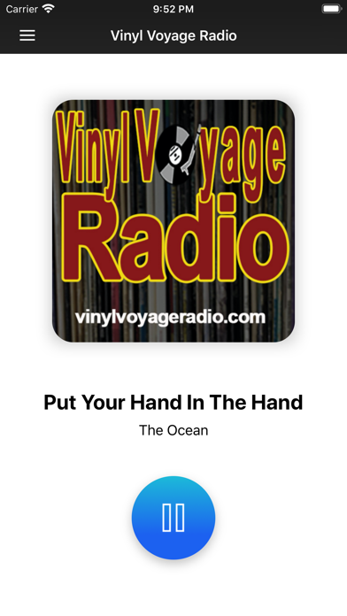 Screenshot #1 pour Radio Vinyl Voyage
