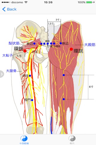 経穴マニュアルのおすすめ画像5