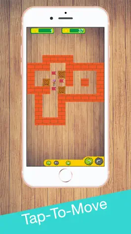 Game screenshot Sokoban King :Space Logic Maze apk