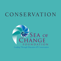 RL Conservation