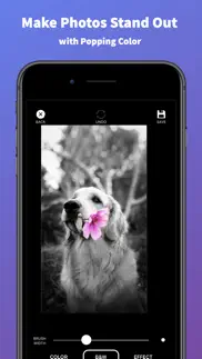 splash of color pro iphone images 2