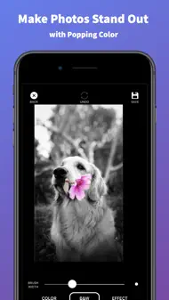 Splash of Color Pro iphone bilder 1