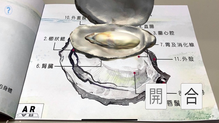 AR牡蠣繪本