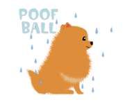 Pomeranian Dog Pom Pom Sticker