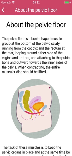 Tät - Pelvic Floor Exercises(圖5)-速報App