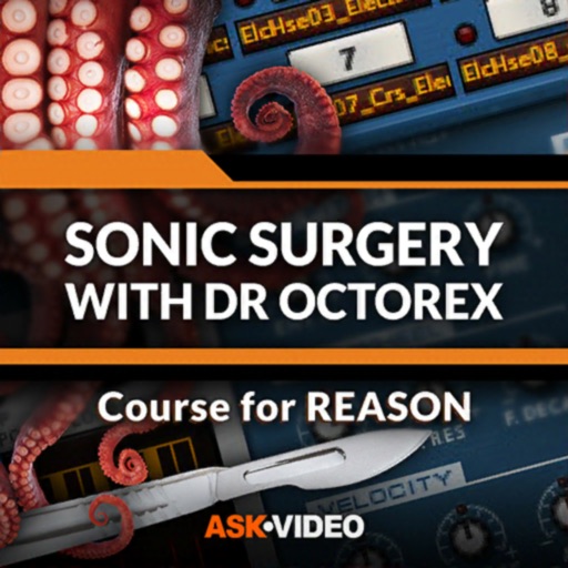 Dr. OctoRex Course For Reason icon