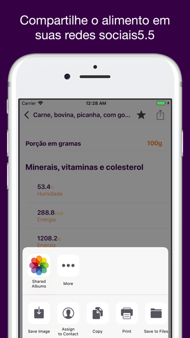 Tabela IBGE de Alimentos Screenshot