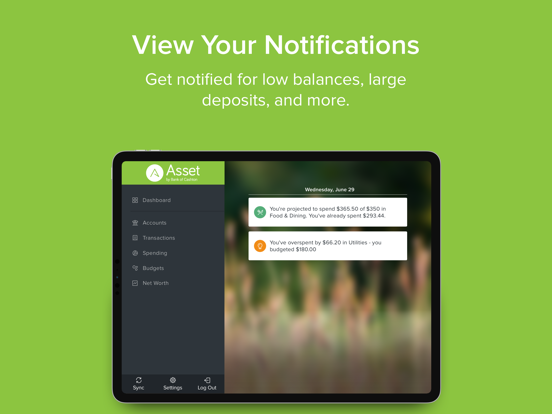 Asset, iPad screenshot 6 - Finance app