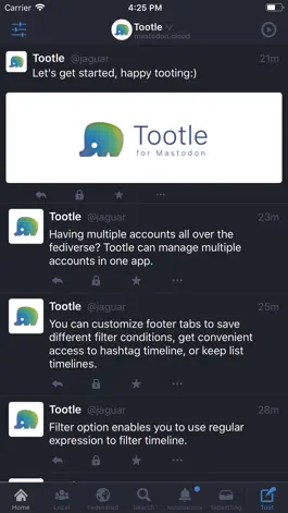 Game screenshot Tootle for Mastodon mod apk