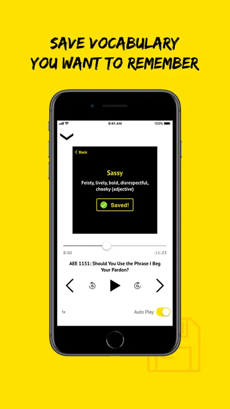 All Ears English Listening screenshot 5 of 9