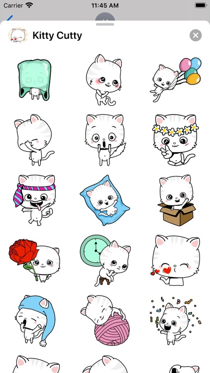 Kitty Cutty
