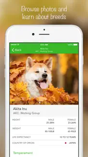iknow dogs 2 lite problems & solutions and troubleshooting guide - 4