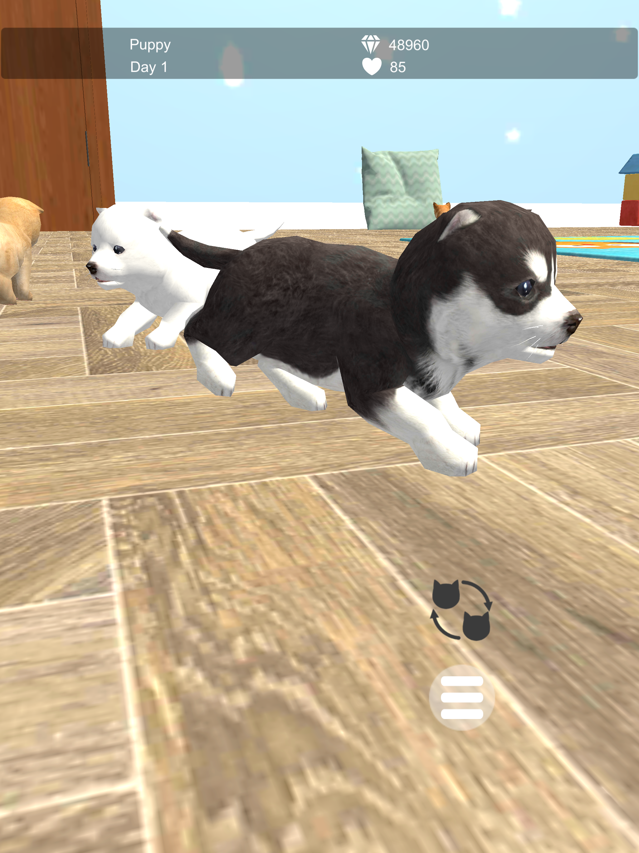 My Puppies