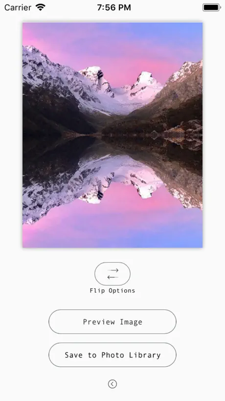 Mirror Flipper