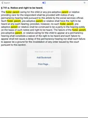 ny family court act 2025 ipad images 4