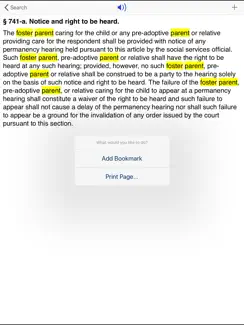 NY Family Court Act 2026 iPad image 4