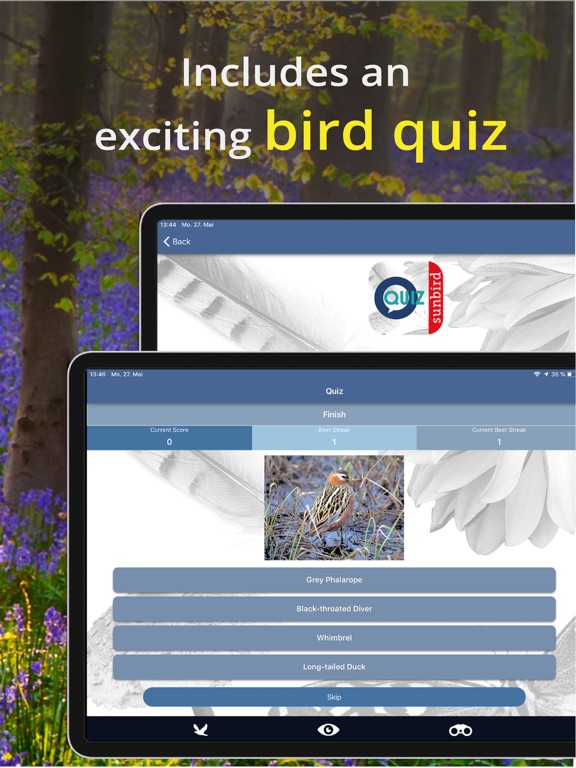 Bird Id - British Isles birds iPad screenshot 9 - Reference app