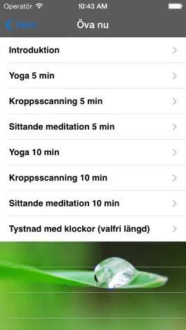 Game screenshot Dagliga droppar mindfulness apk