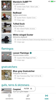 GoBird - Guide to Nearby Birds screenshot 3