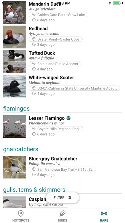 GoBird - Guide to Nearby Birds